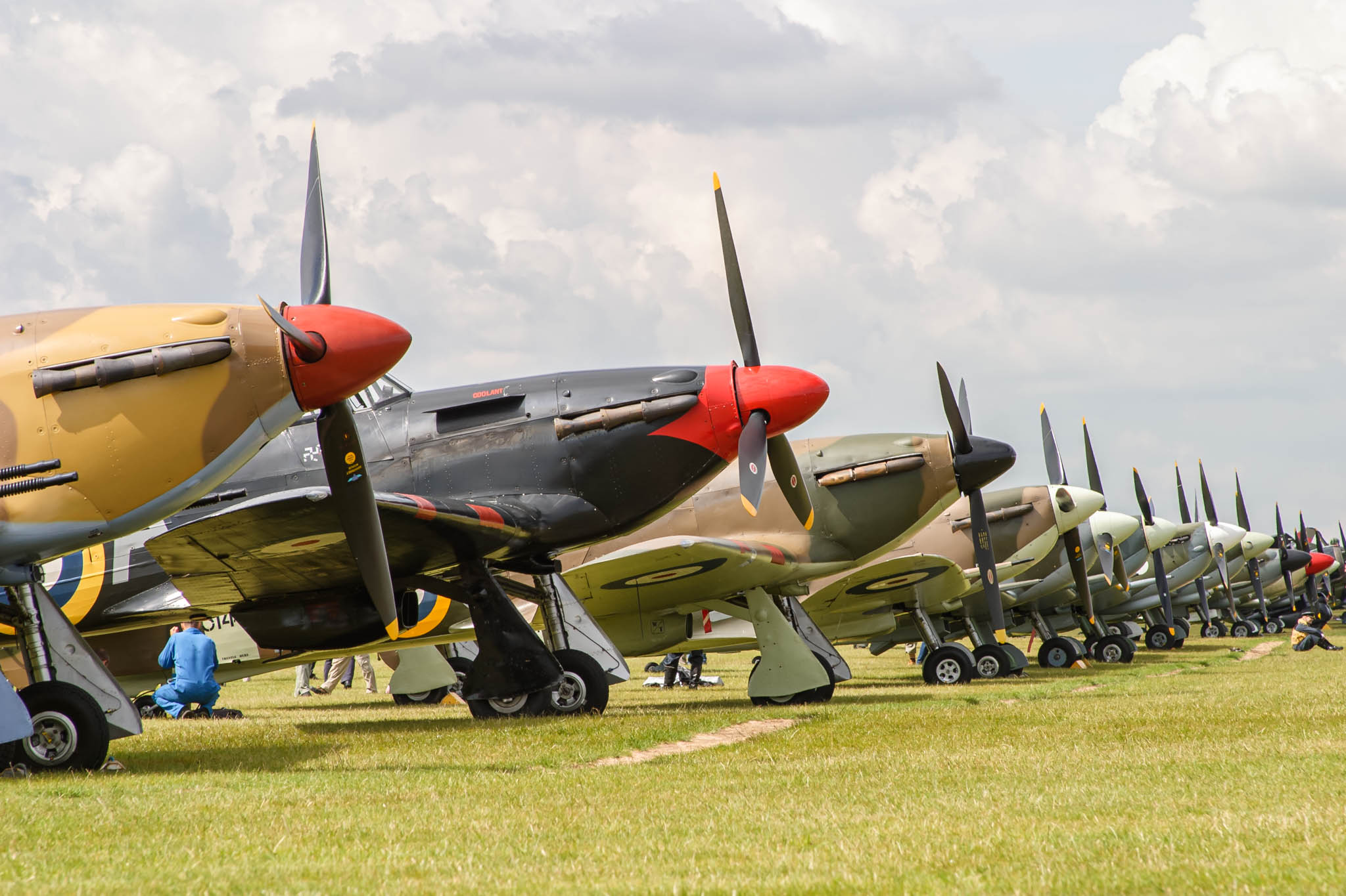 What a line up (041_3475)