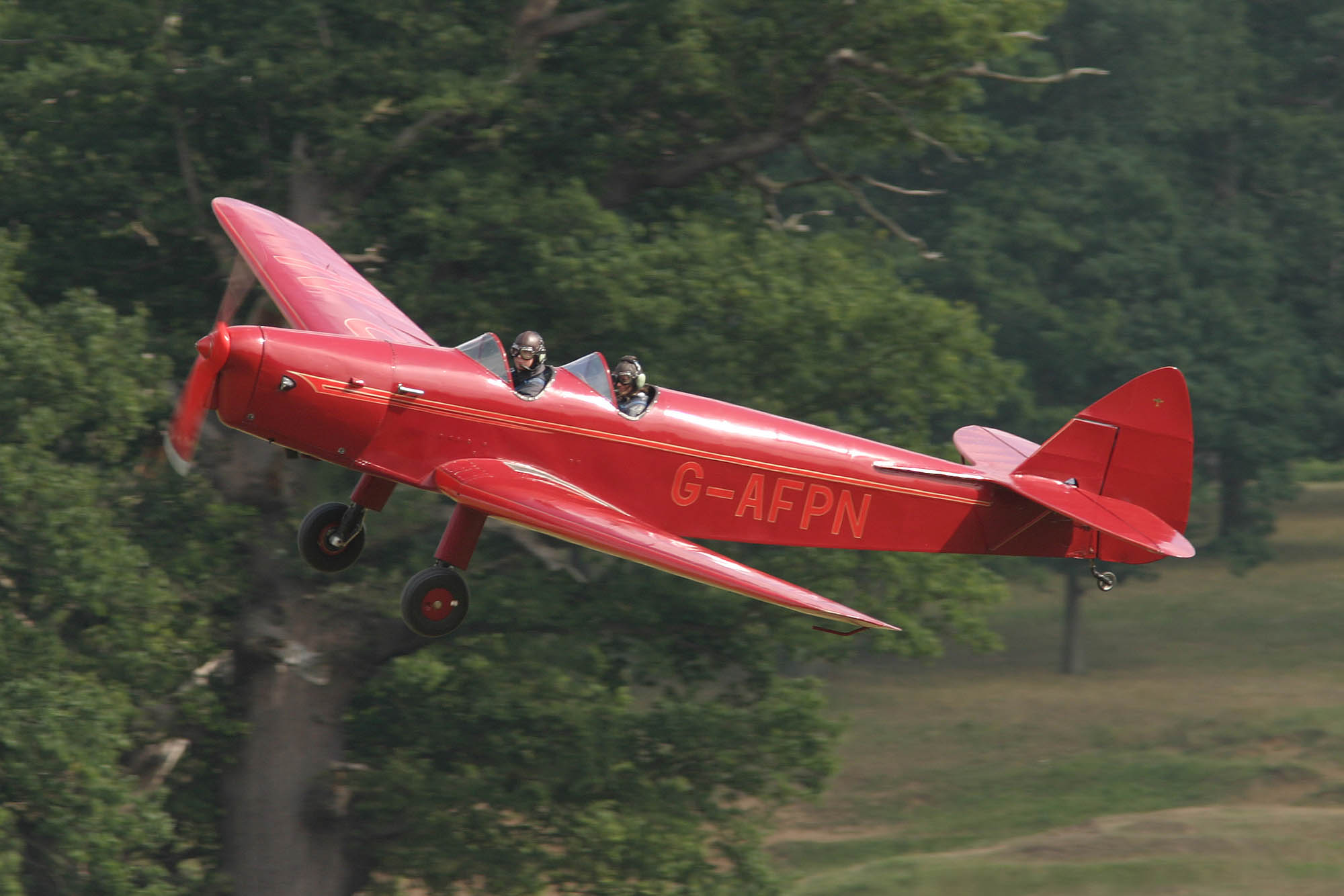 G-AFPN DH90 Moth Minor - click to enlarge