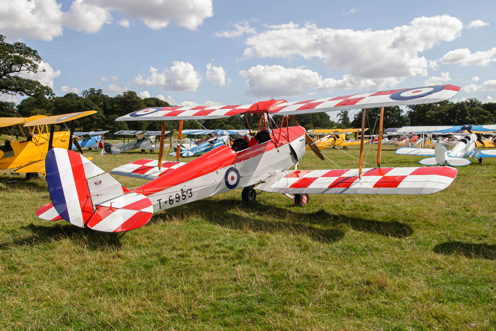 de Havilland Moth Rally