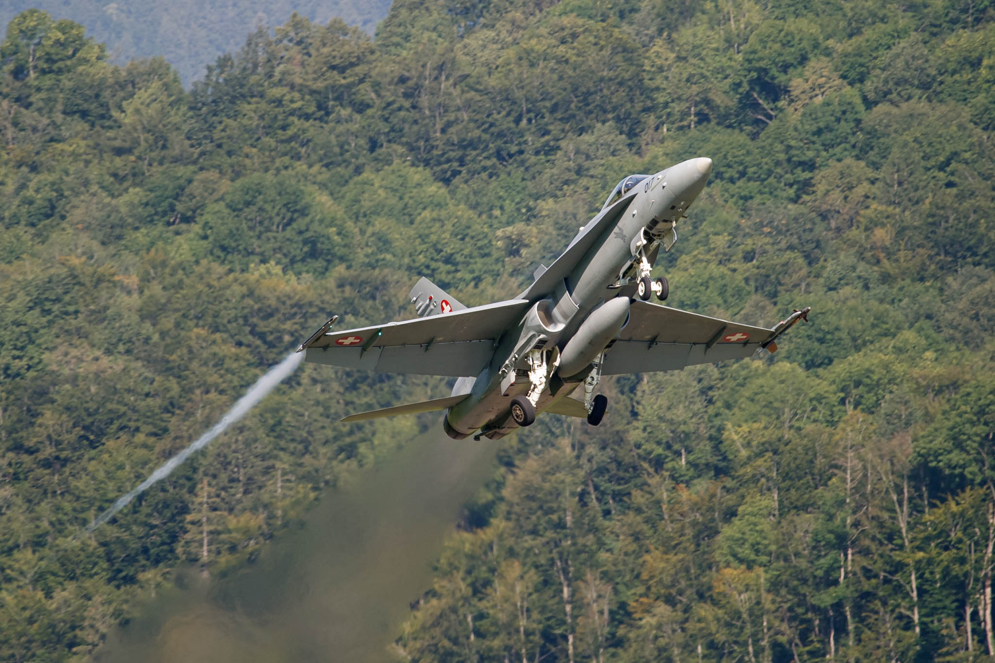F/A-15C Hornet (J-5017) departs Meiringen in style (041_7574w4.jpg) Swiss Air Force base Meiringen