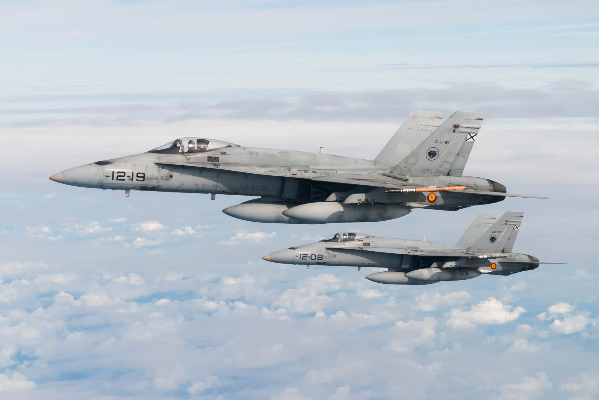 Spanish AF F/A-18 Hornets Air to Air