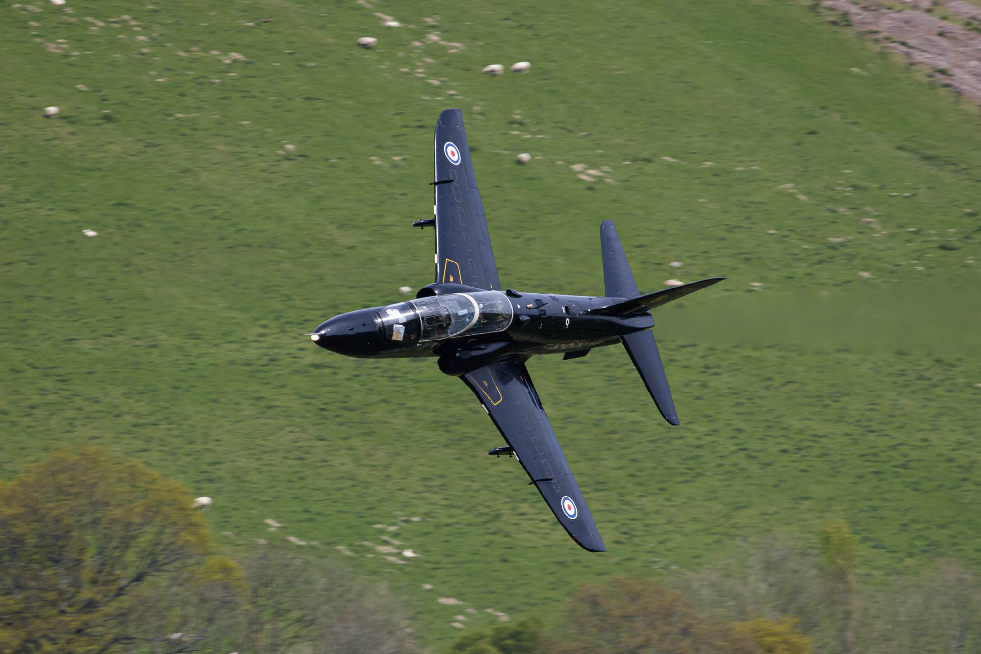 Aviation Photography low level flying