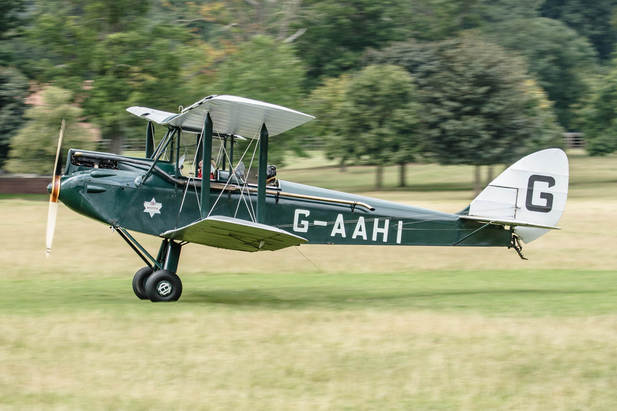 de Havilland Moth Rally