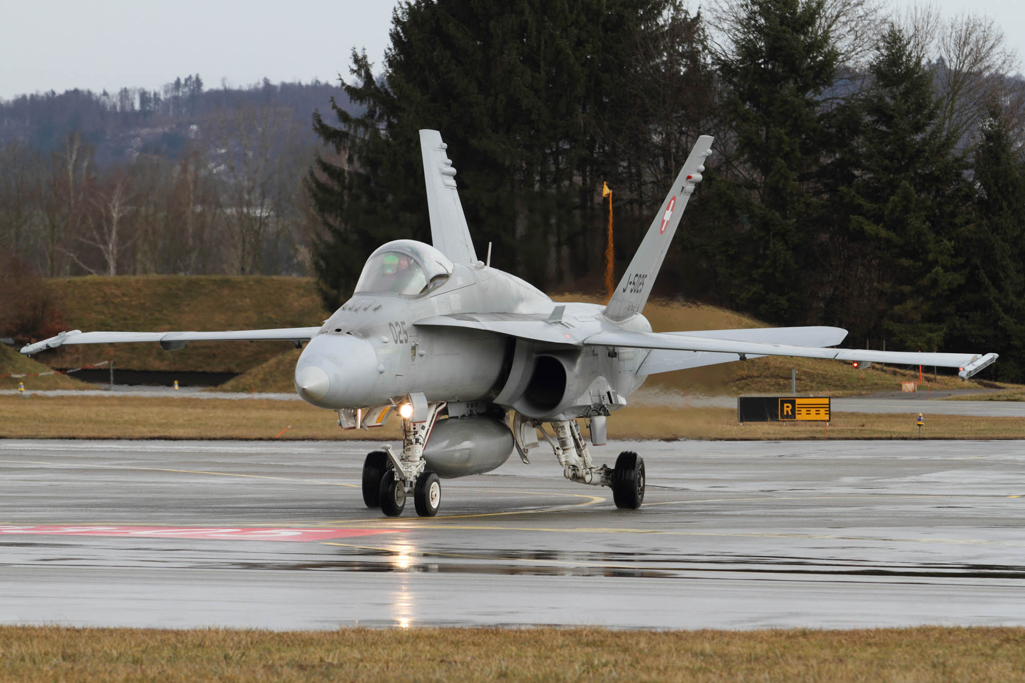 Aviation Photography Payerne F18 Hornet