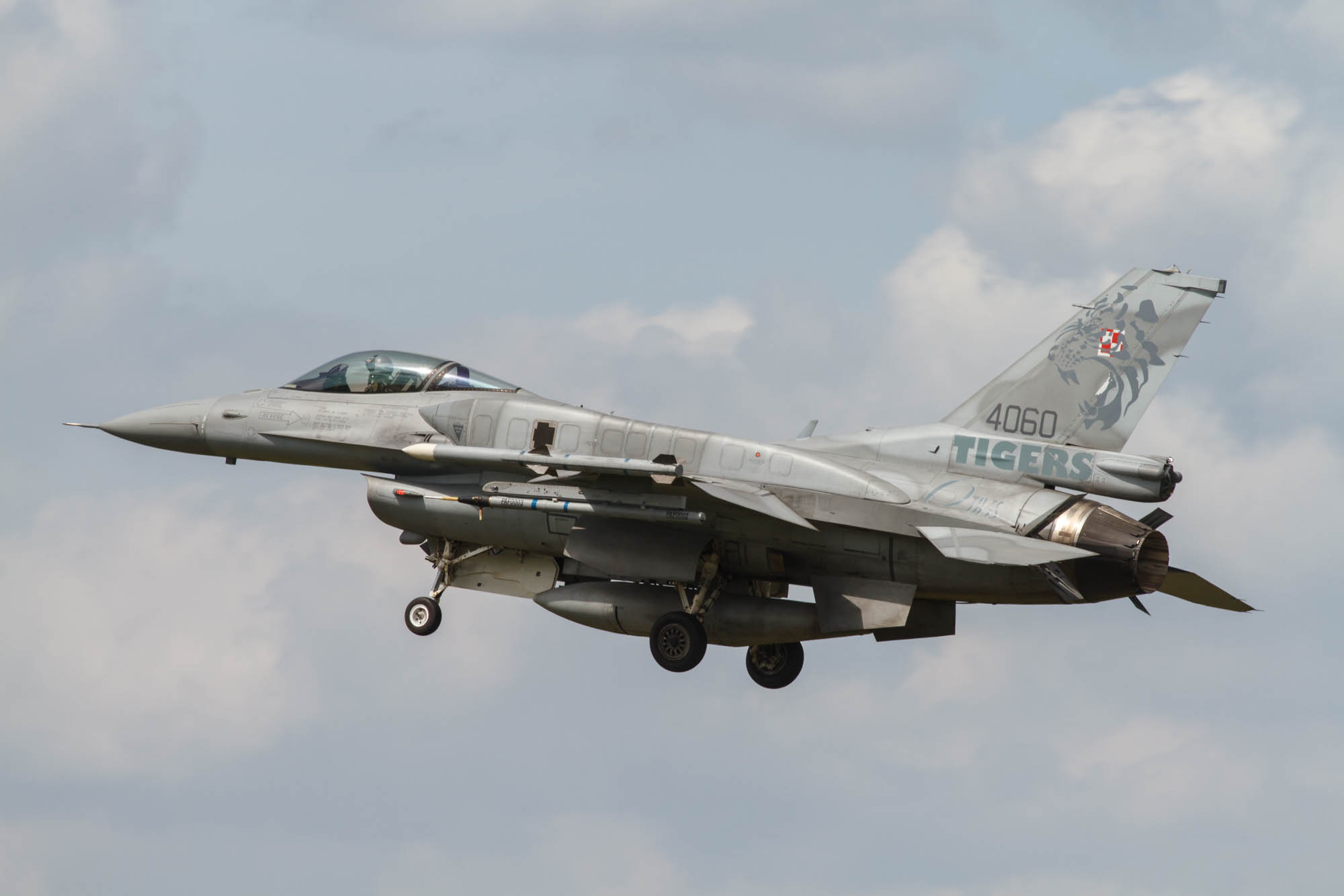 NATO Tiger Meet
