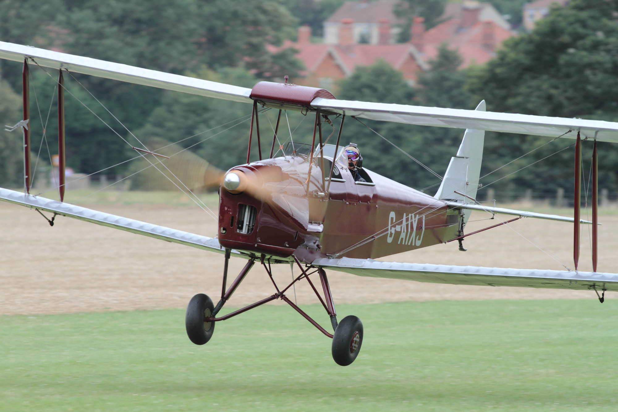 de Havilland Moth Rally