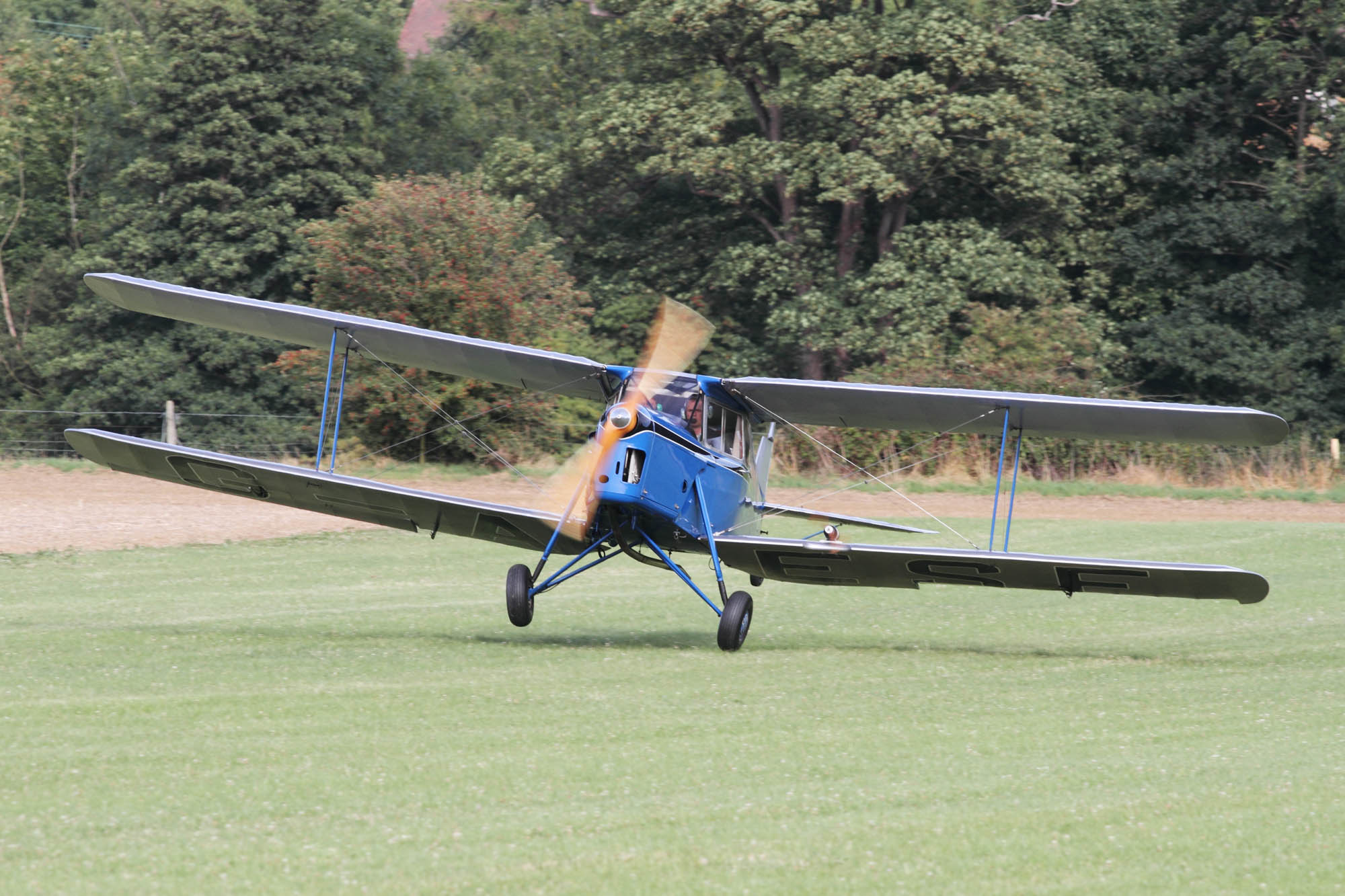 de Havilland Moth Rally