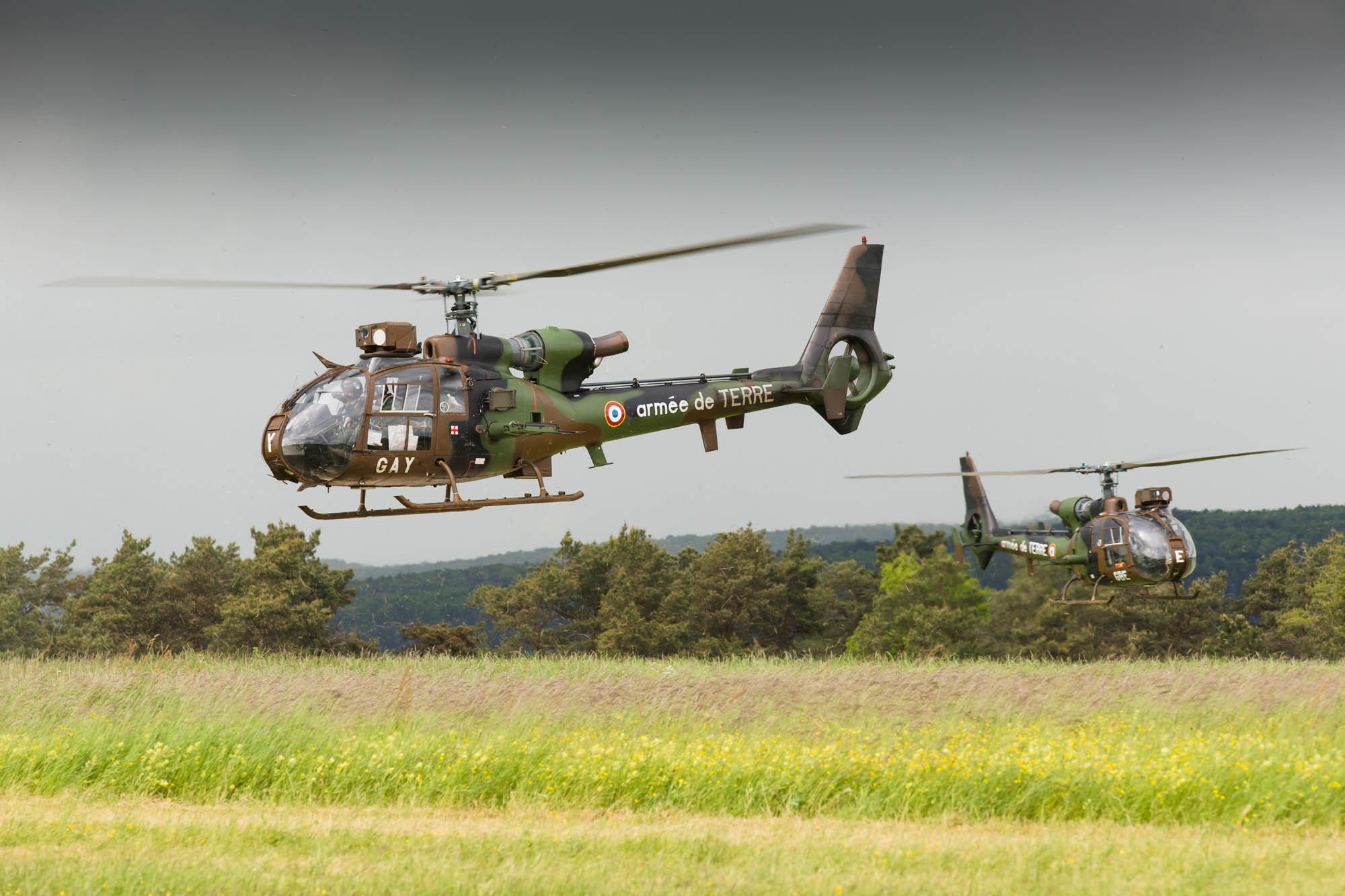 Aviation Lgre de l'Arme de Terre