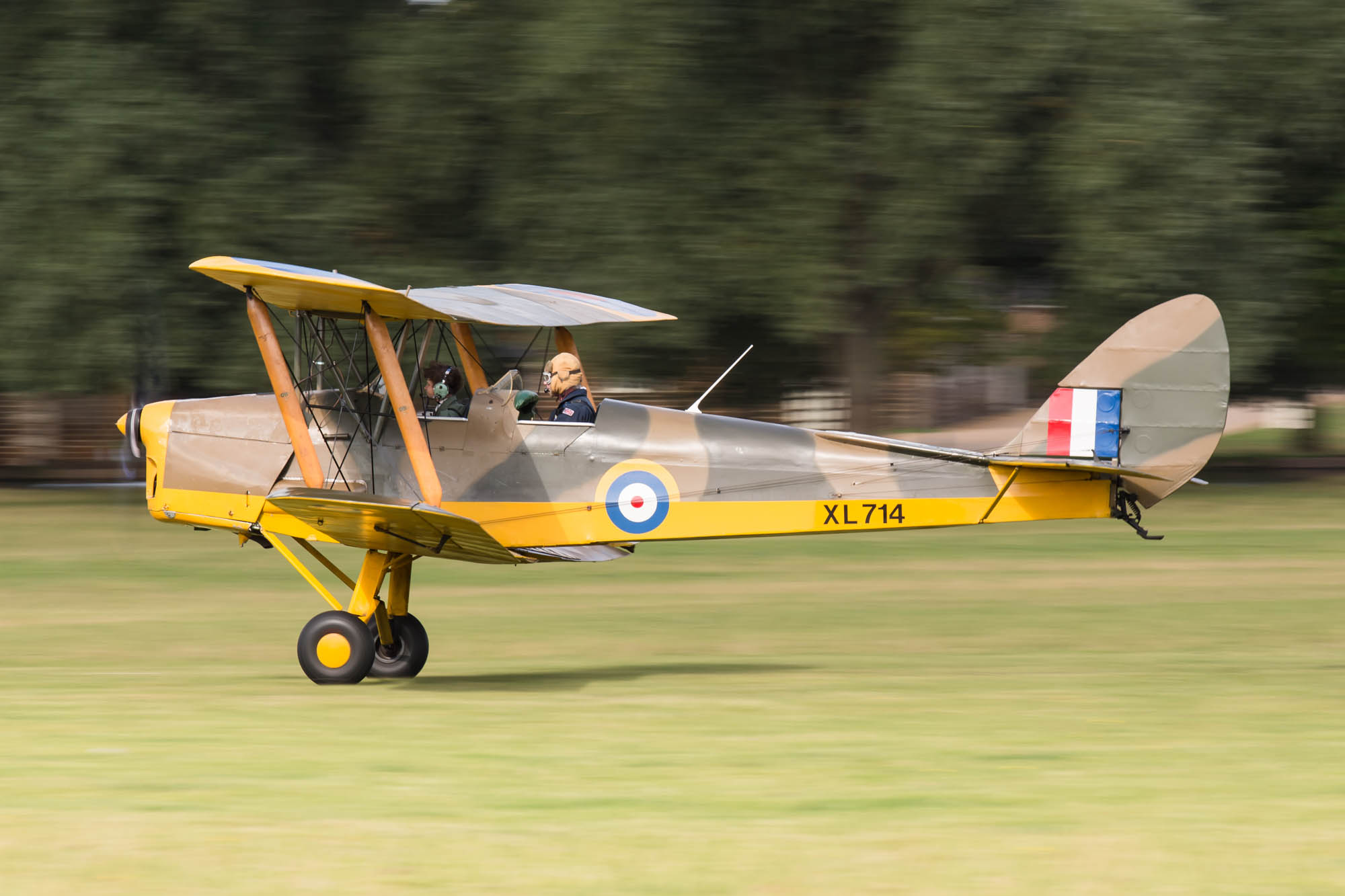 de Havilland Moth Rally