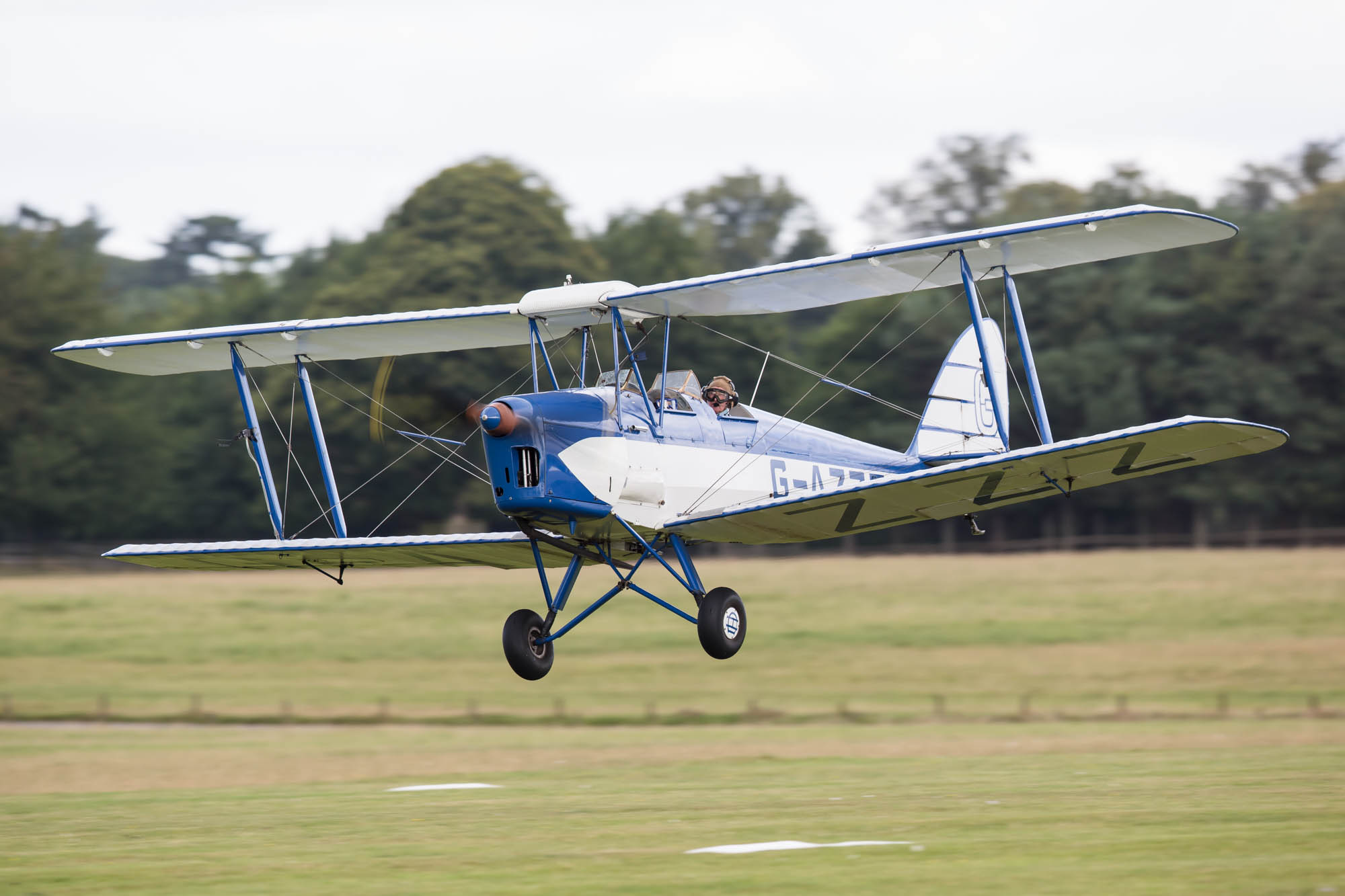 de Havilland Moth Rally