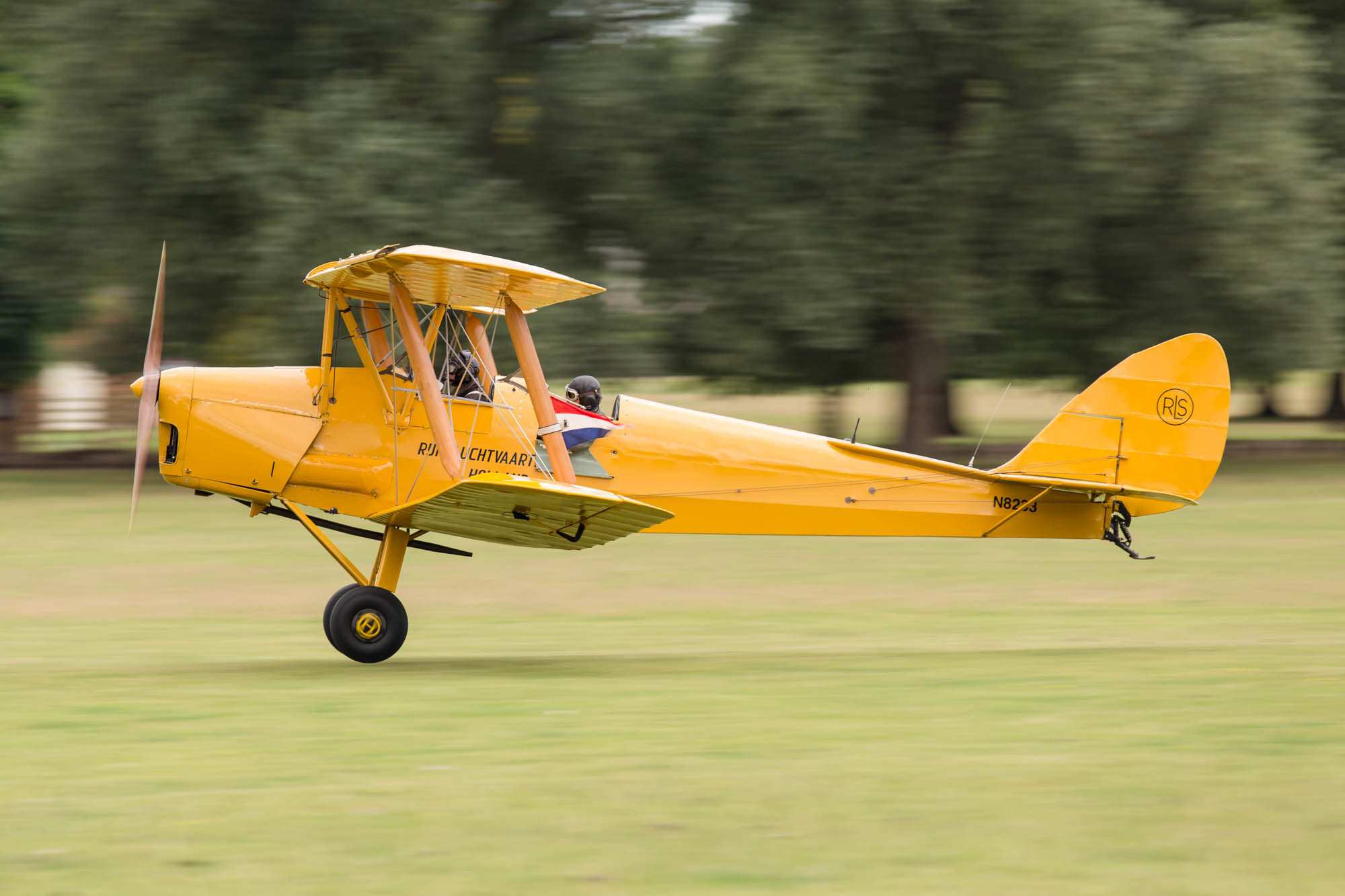 de Havilland Moth Rally