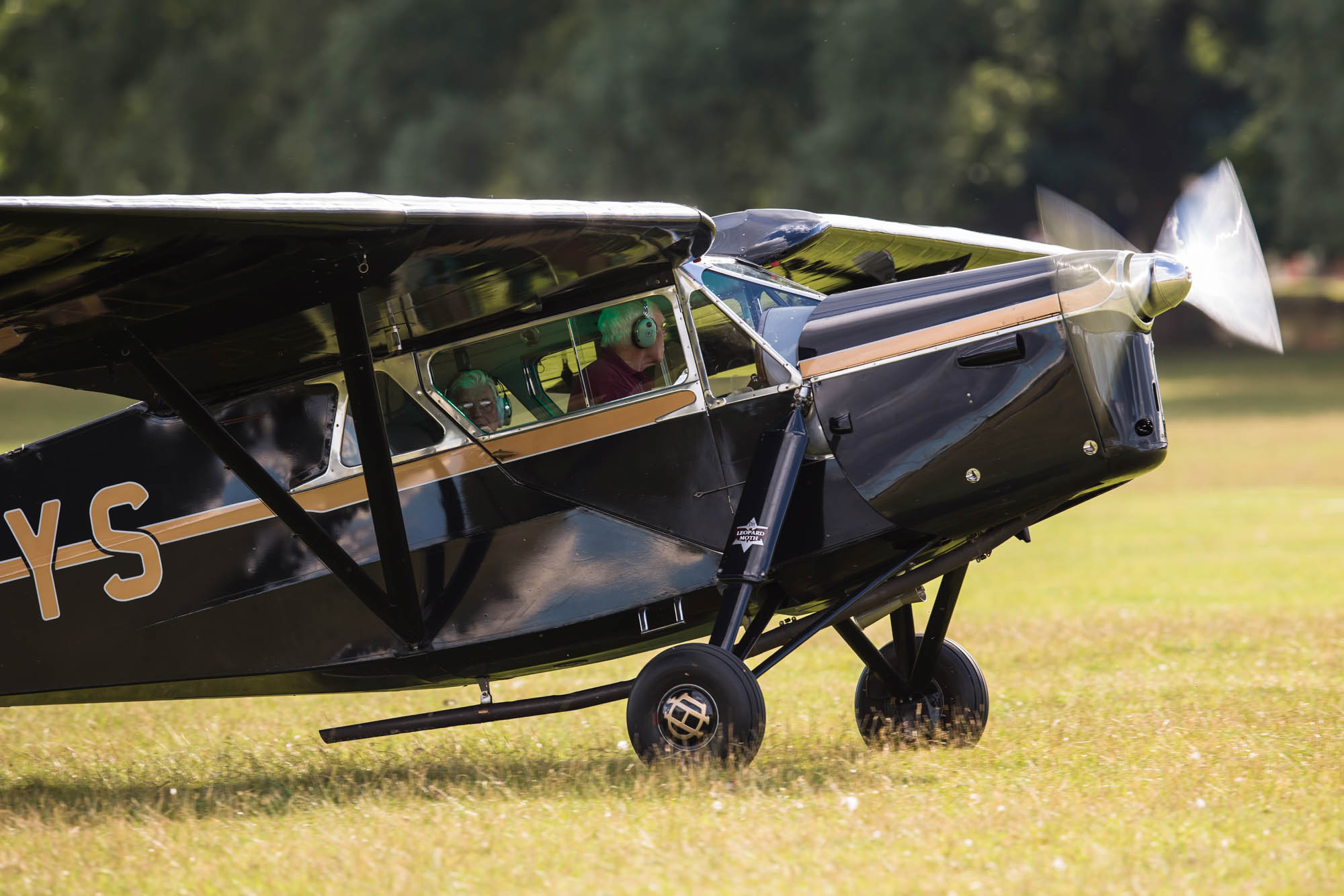 de Havilland Moth Rally