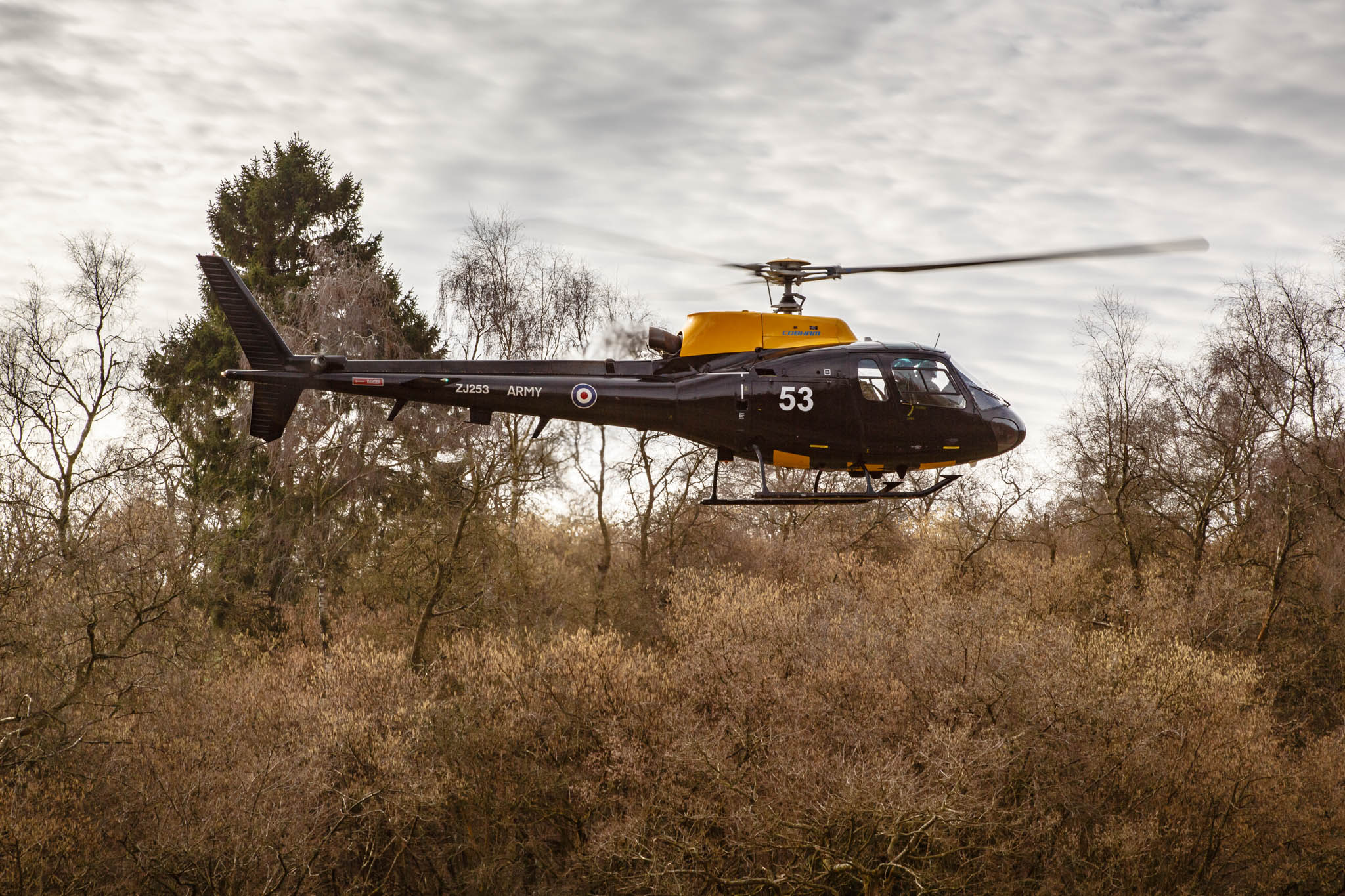 Salisbury Plain Training Area