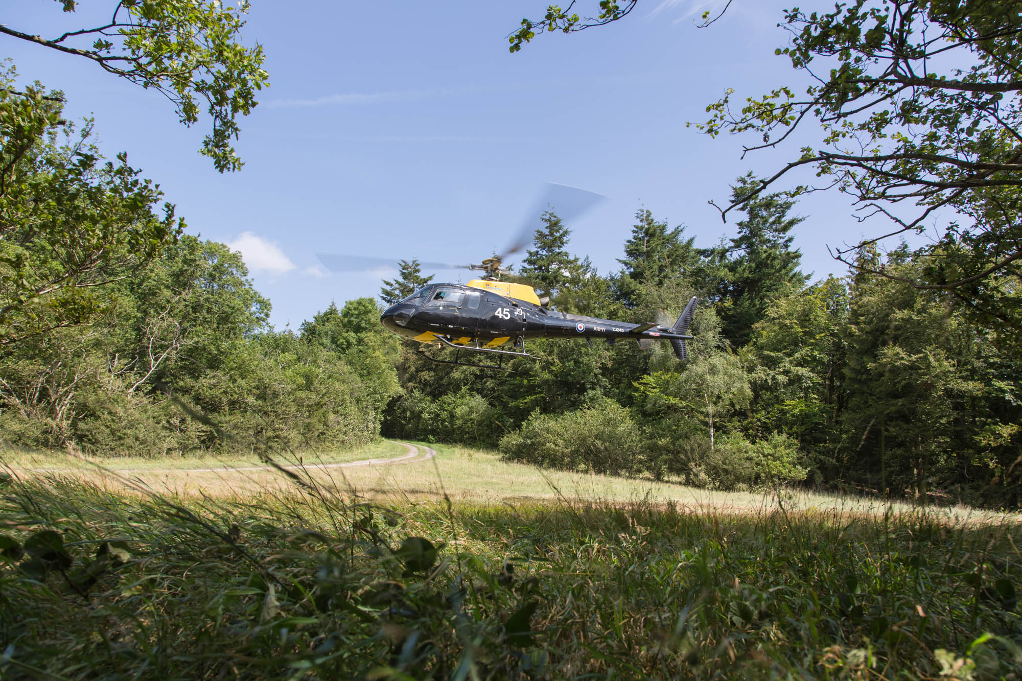 Salisbury Plain Training Area