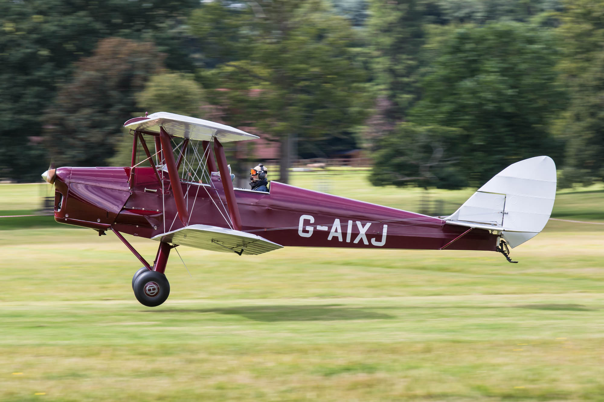 de Havilland Moth Rally