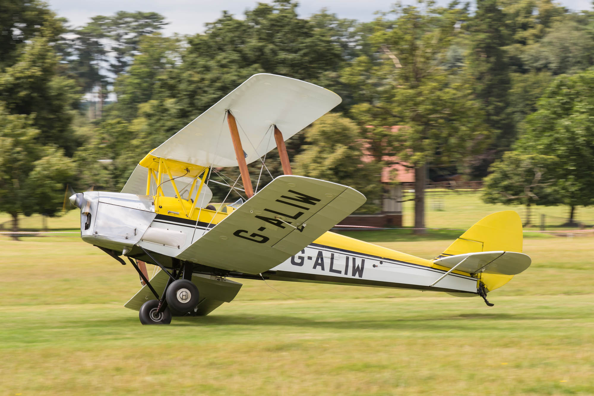 de Havilland Moth Rally