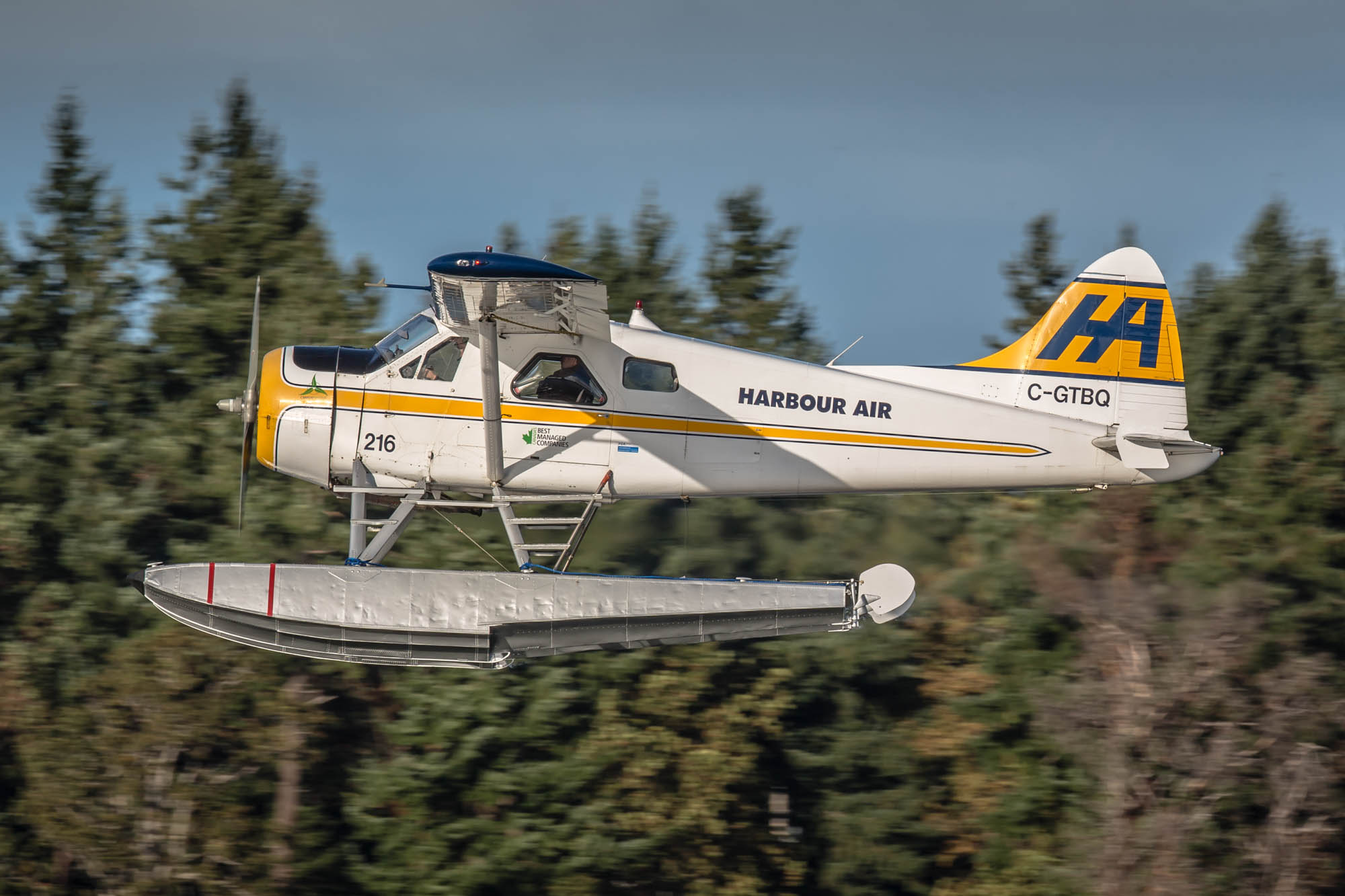 Seaplanes Britsh Columbia