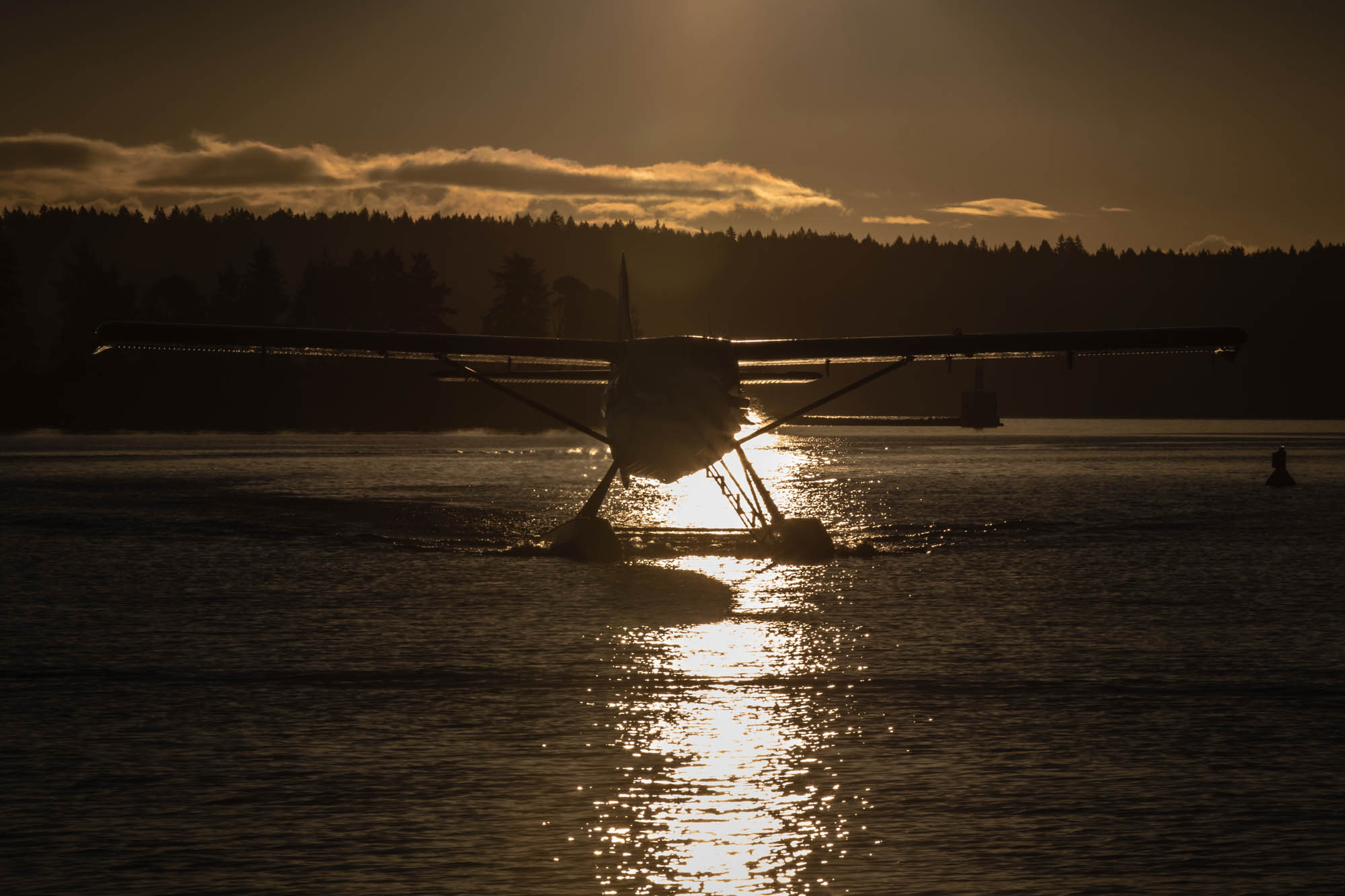 Seaplanes Britsh Columbia