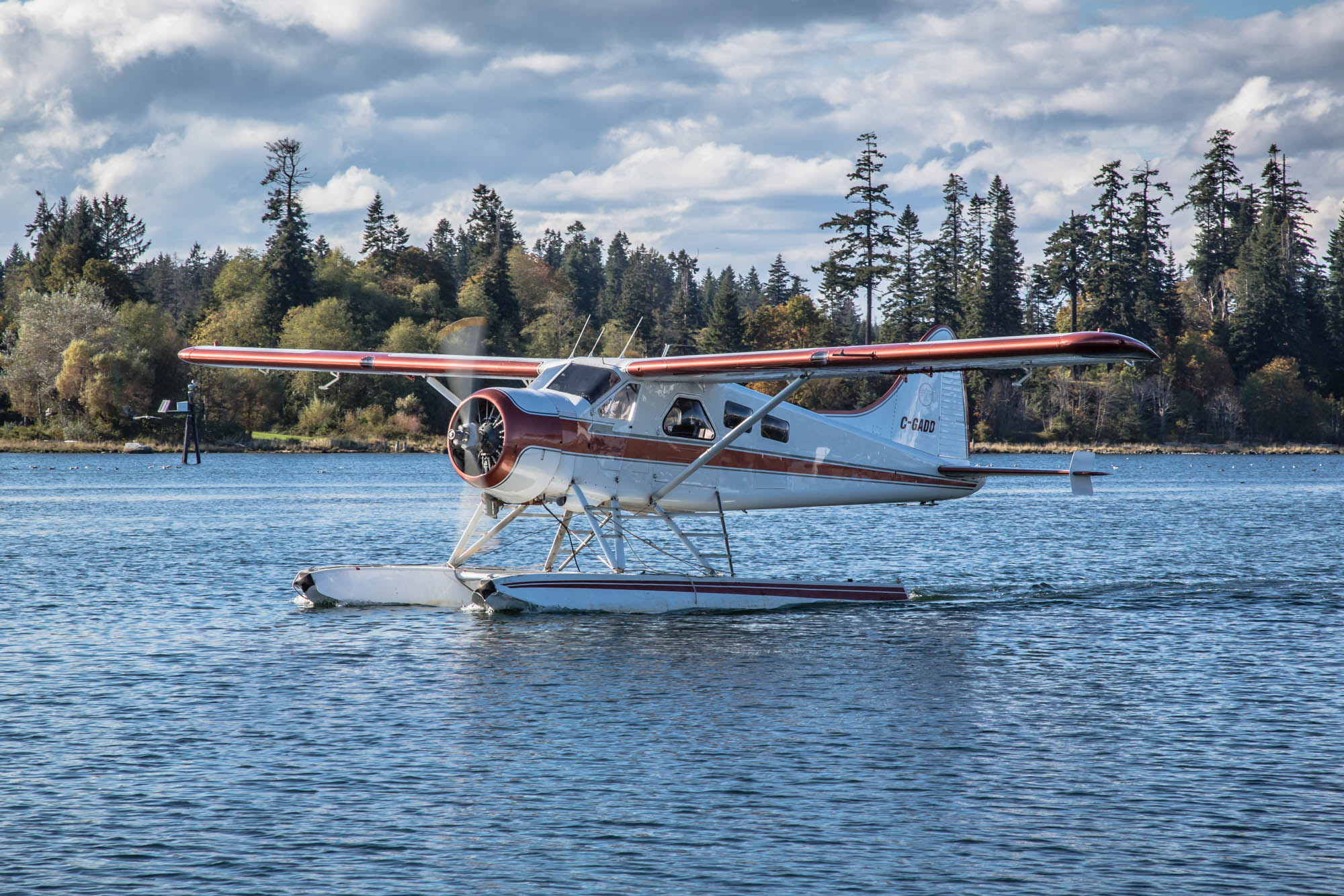 Seaplanes Britsh Columbia