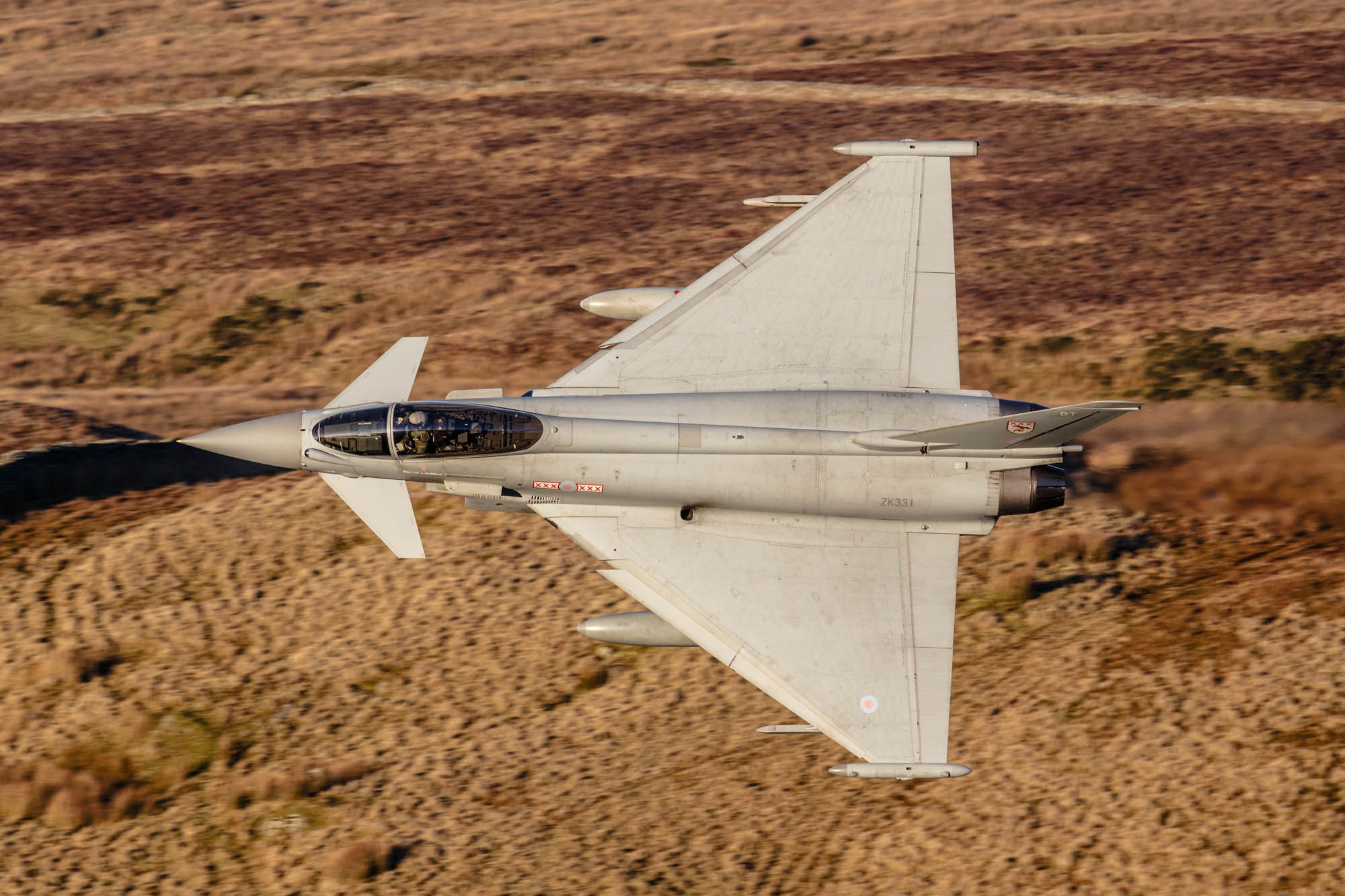 Aviation Photography RAF 29 Squadron