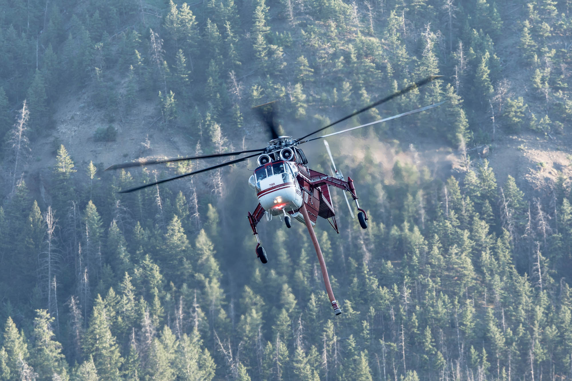 Shoshone National Forest Fire