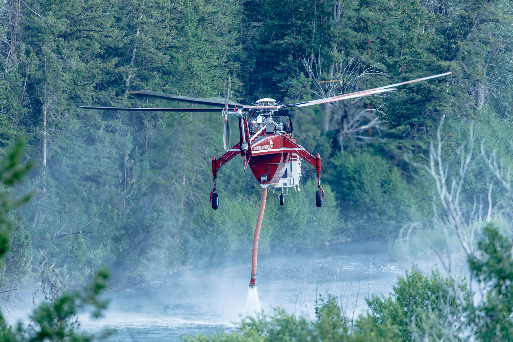 Shoshone National Forest Fire