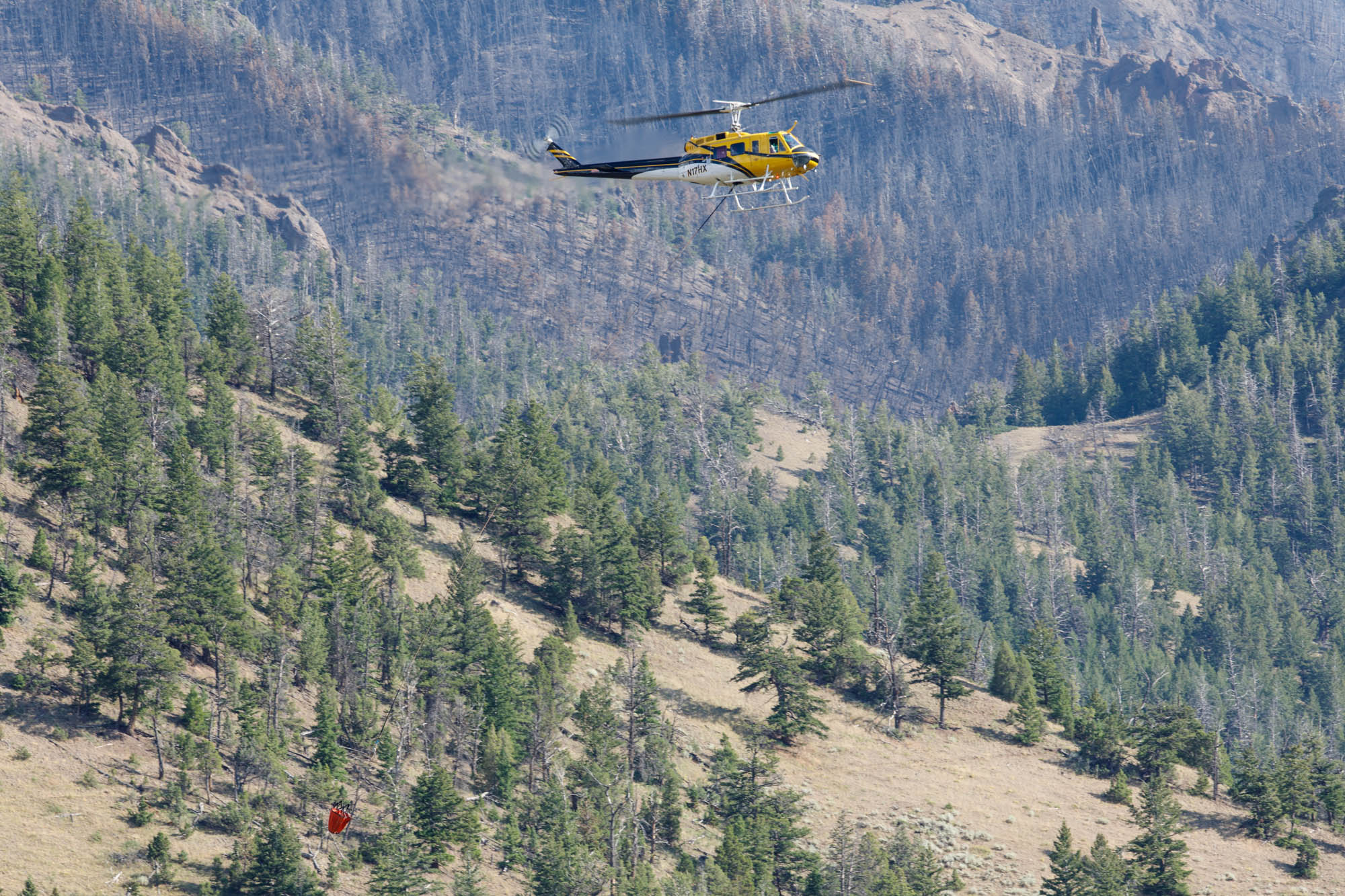 Shoshone National Forest Fire