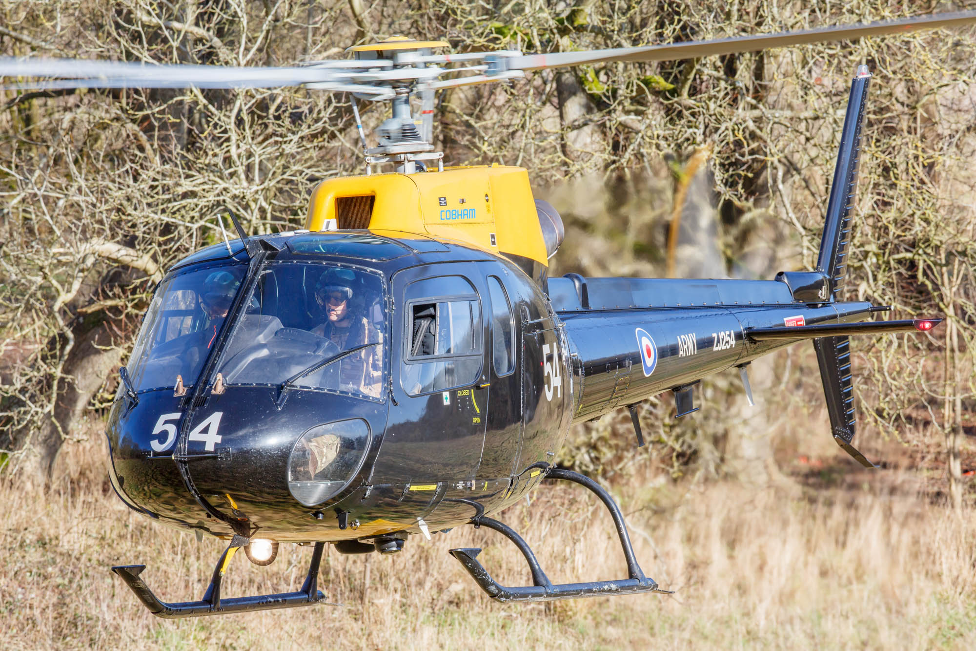 Salisbury Plain Training Area