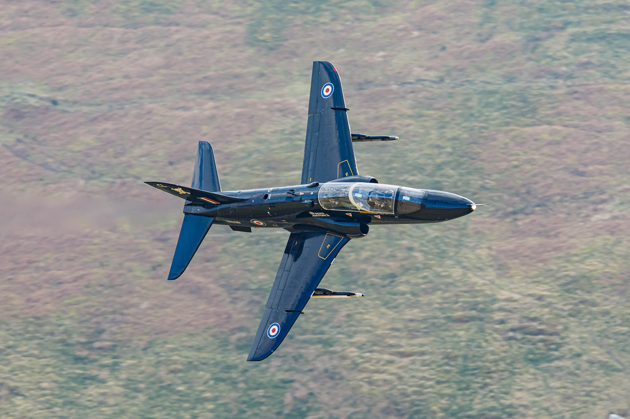 181_5176w6