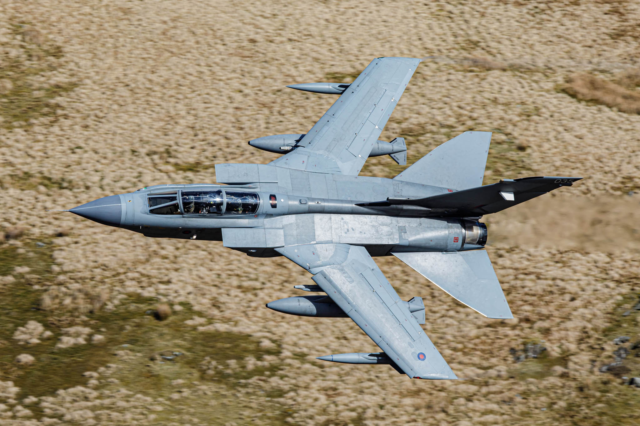 181_6603w6+