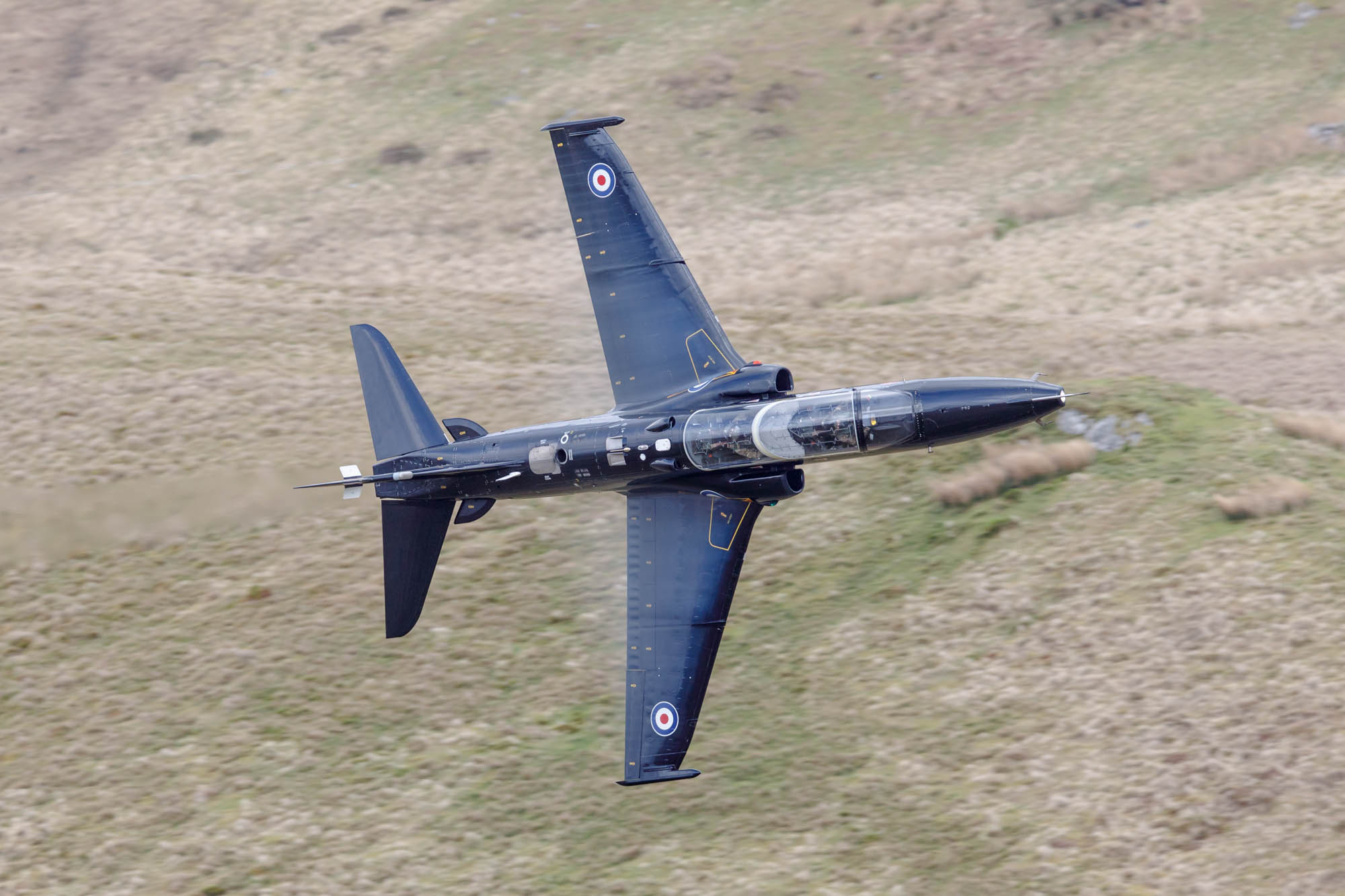 182_1546w6+