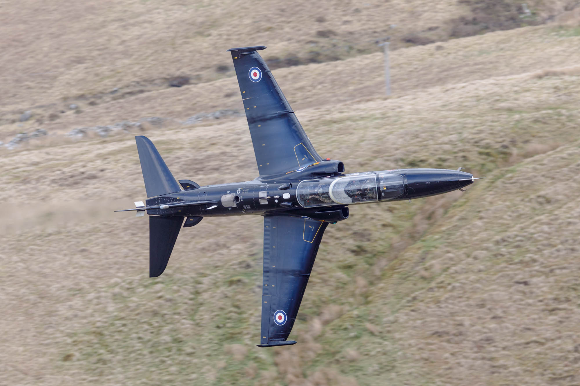 182_1548w6+