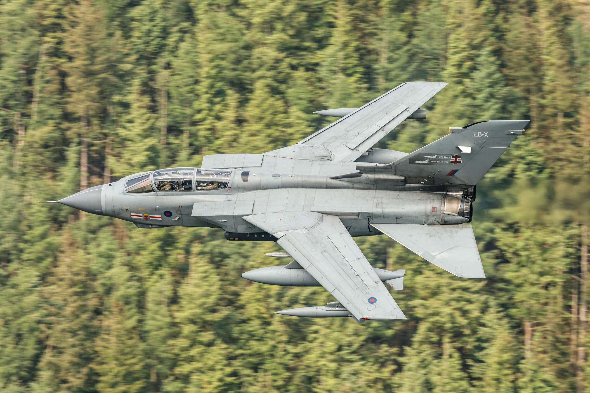 182_6005w7+