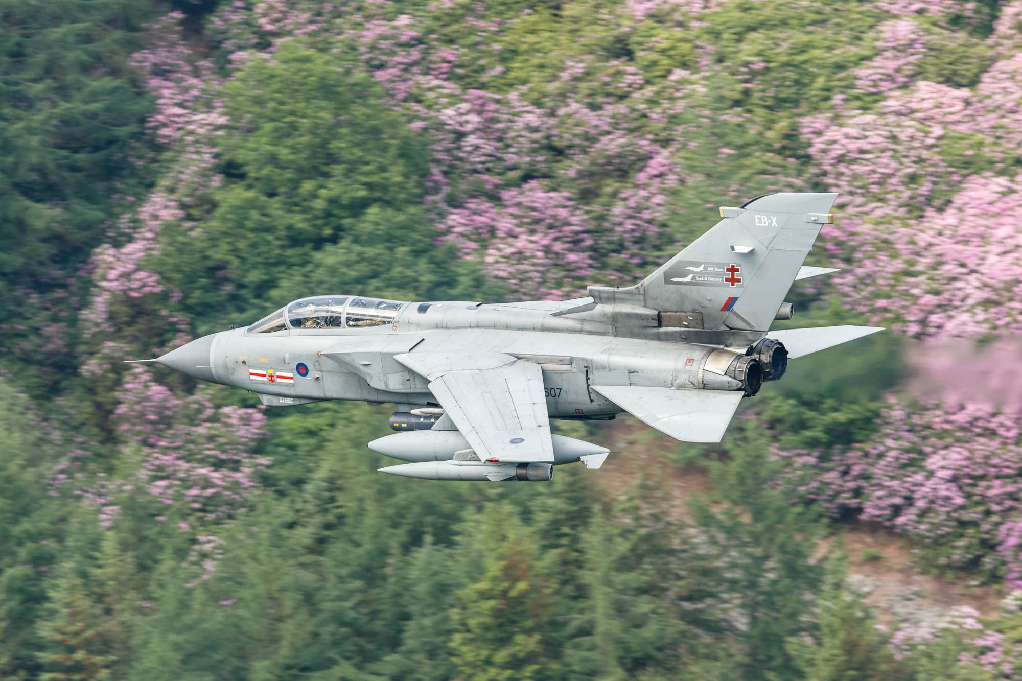 182_6009w6+