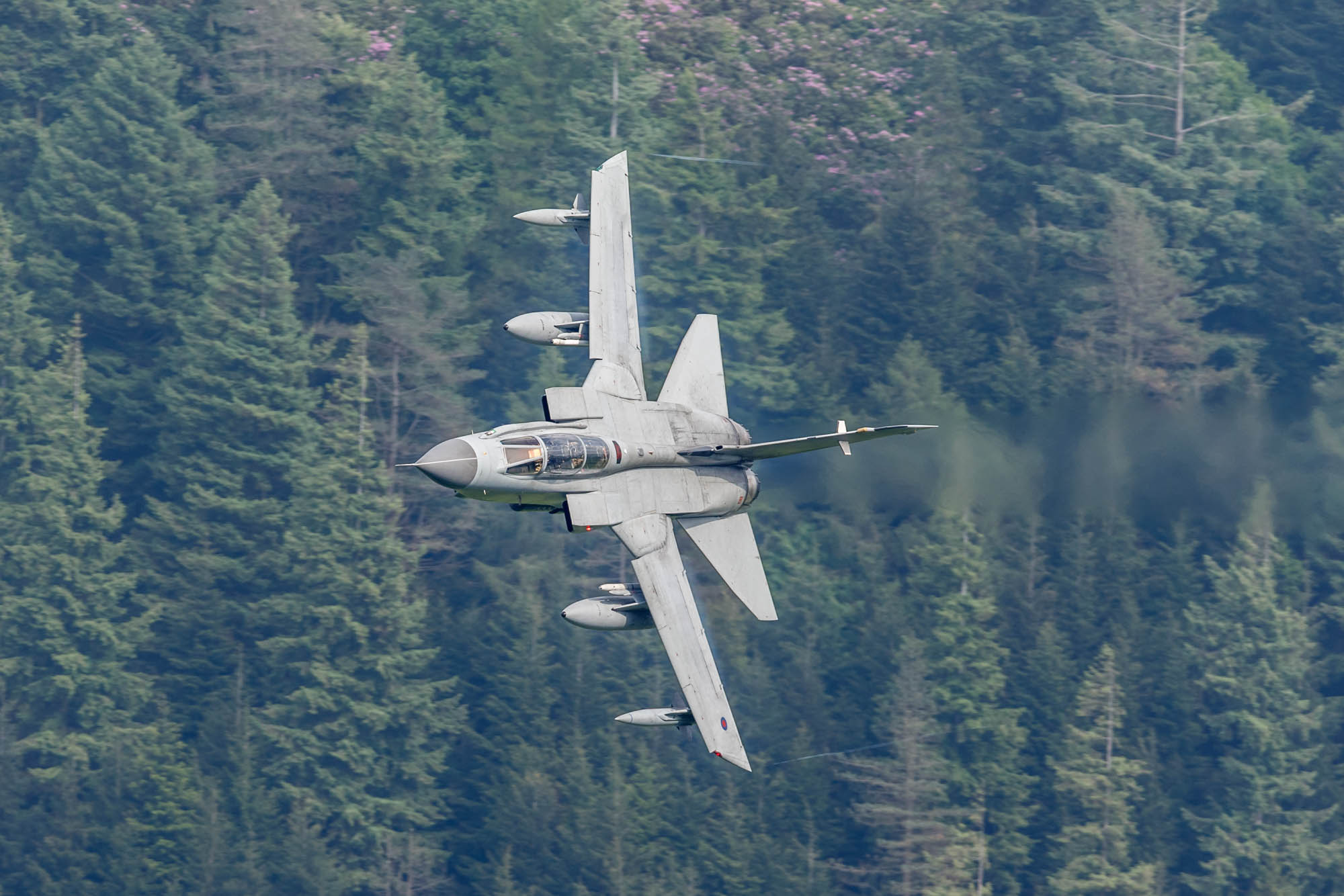 182_6054w6+
