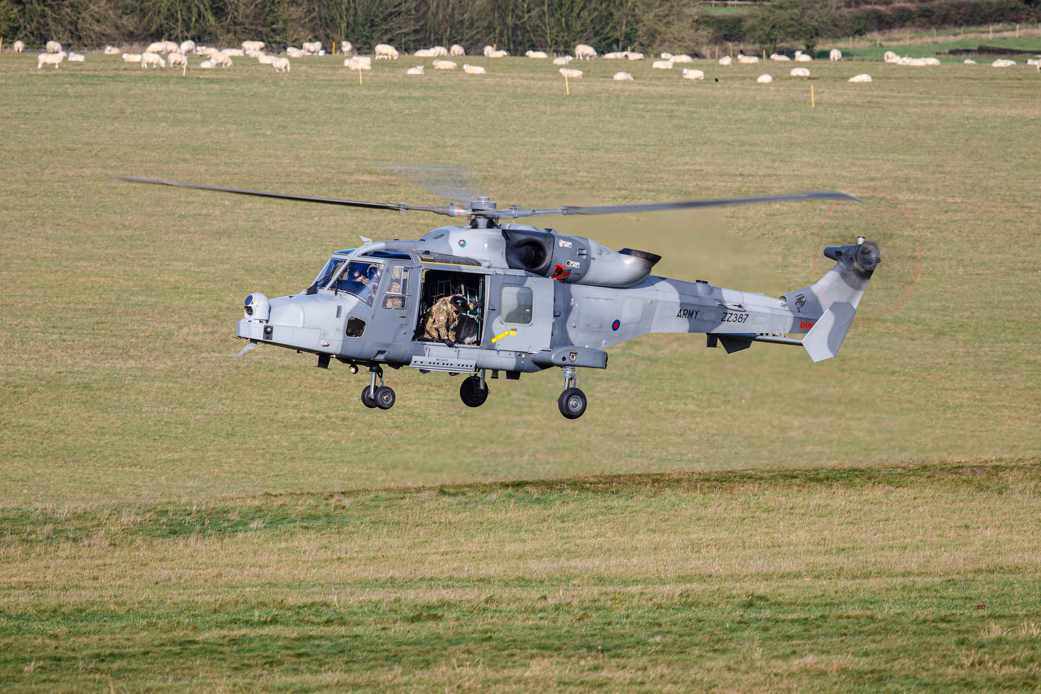 Salisbury Plain Training Area