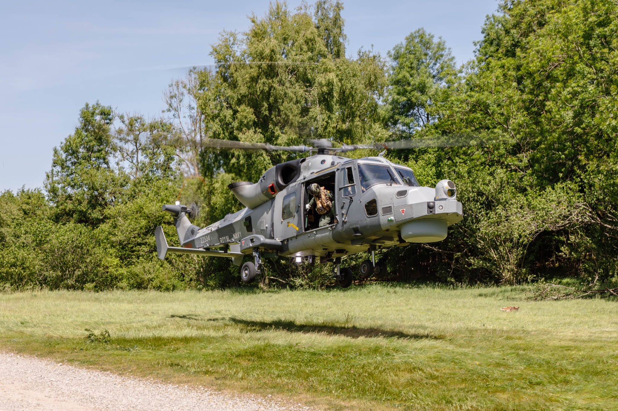 Salisbury Plain Training Area