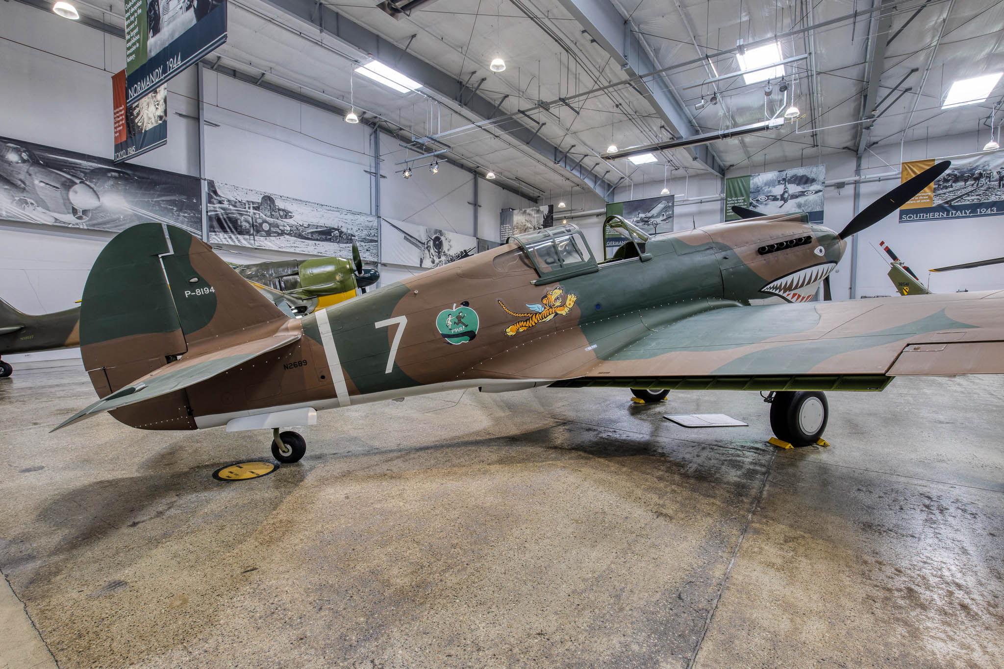 Image 242_5442hw10 Flying Heritage Collection