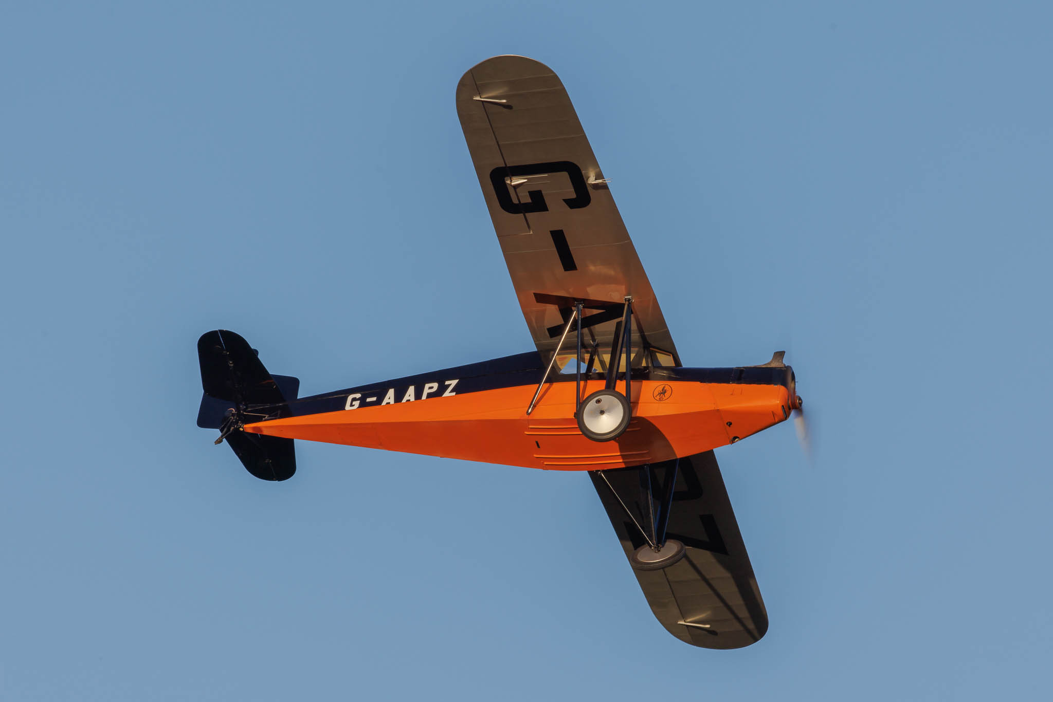 252_9558w9