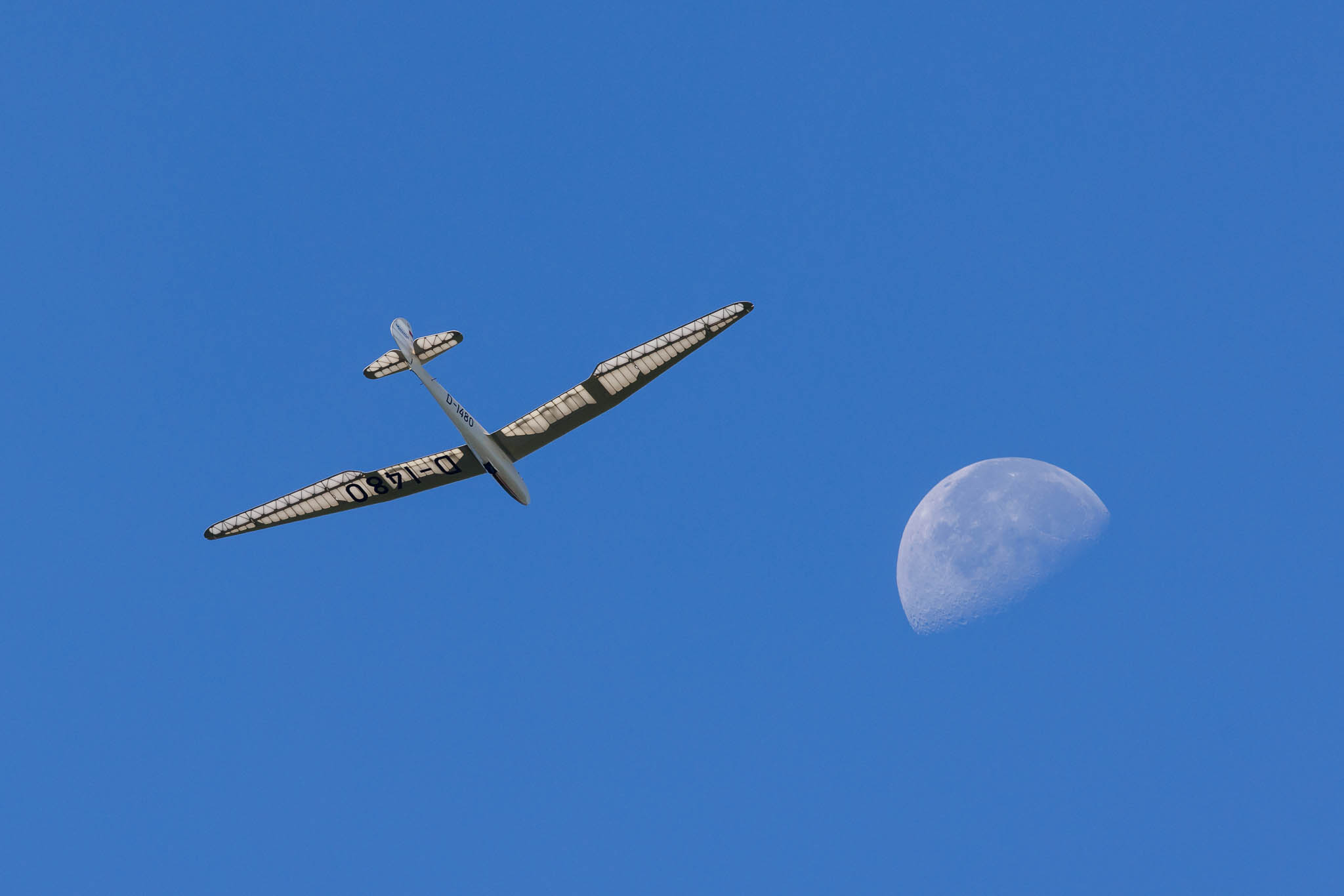 Aviation Photography Gliding