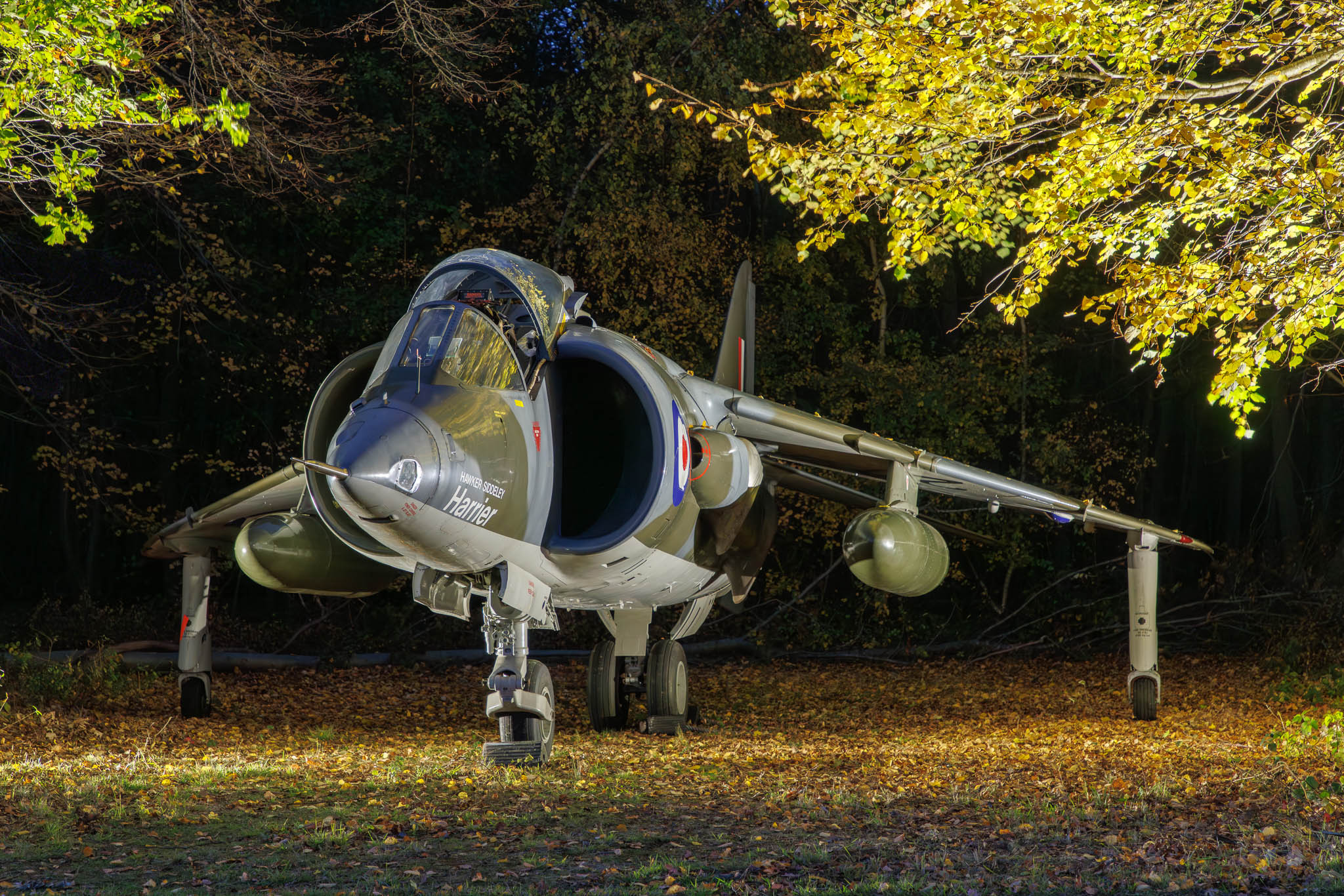 Harrier Heritage Centre