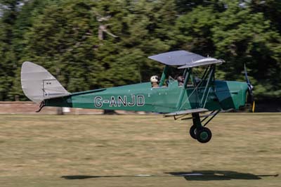 de Havilland Moth Rally