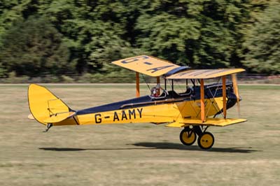 de Havilland Moth Rally