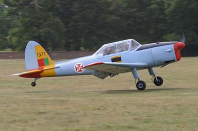 de Havilland Moth Rally