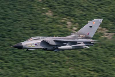 Aviation Photography RAF 12 Squadron