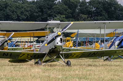 de Havilland Moth Rally