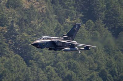 Aviation Photography RAF 13 Squadron