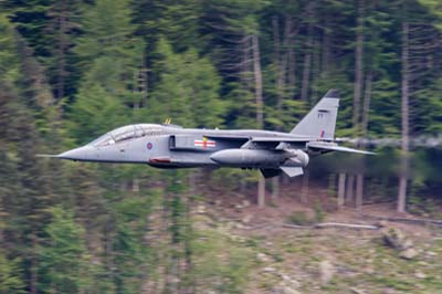 Aviation Photography RAF 41 Squadron