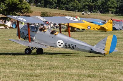 de Havilland Moth Rally