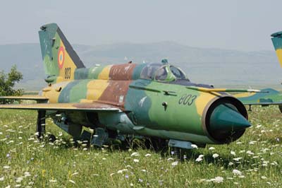 Romanian Air Force, Bacau